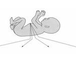 胎児心臓超音波画像