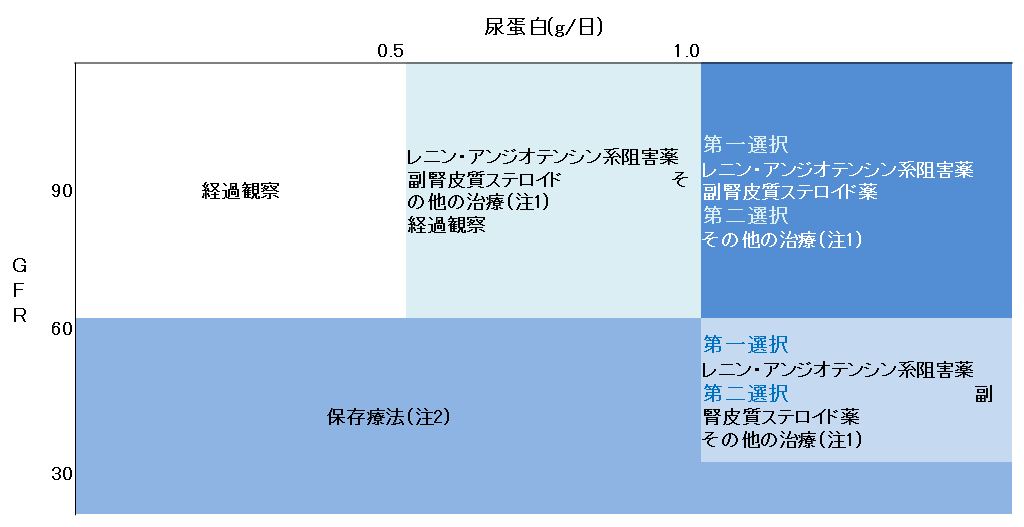 ｉｇａ腎症 腎臓 高血圧内科 公式 大阪市立総合医療センター