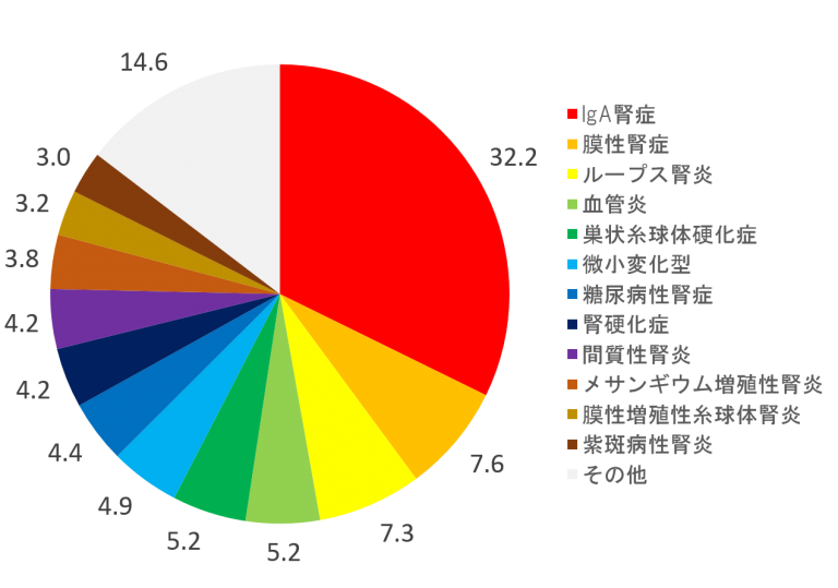 腎生検の円グラフ