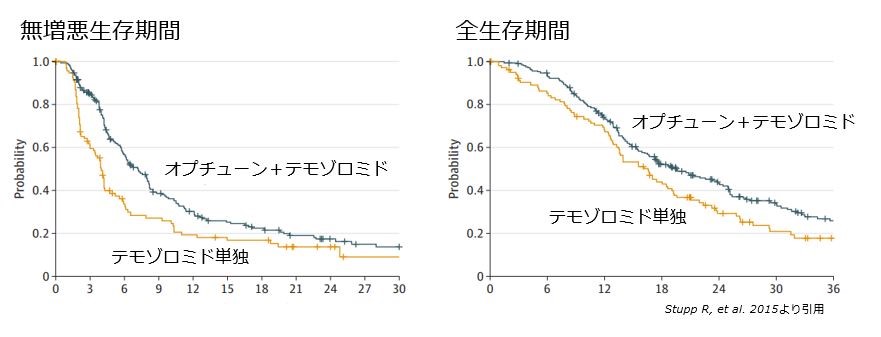 無増悪生存期間および全生存期間についてグラフ表示