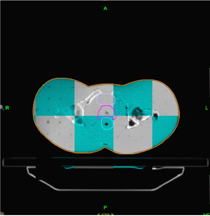 ホームページ画像16