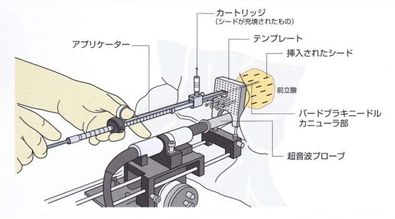 ホームページ画像20