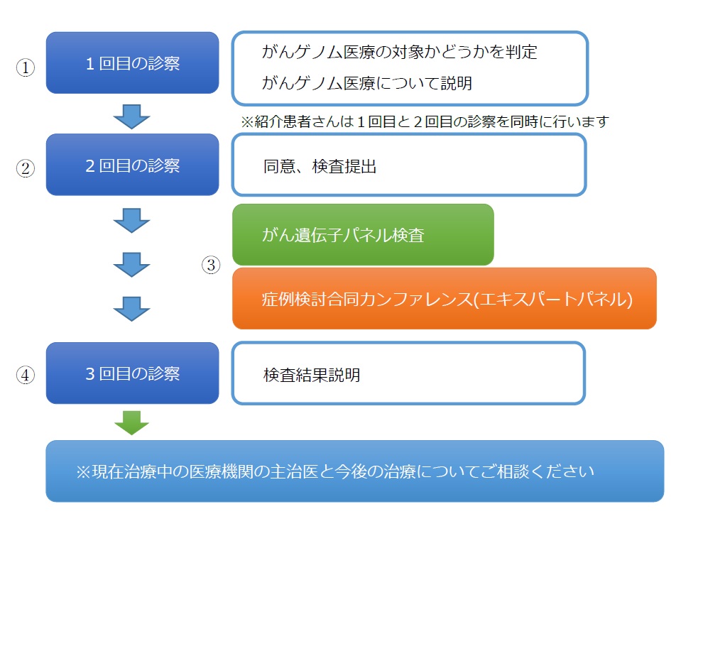 がんゲノム医療の流れ2025.11から